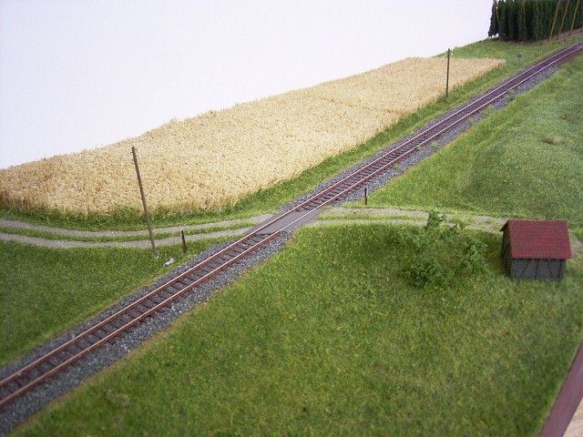 Getreidefeld mit Bahnübergang